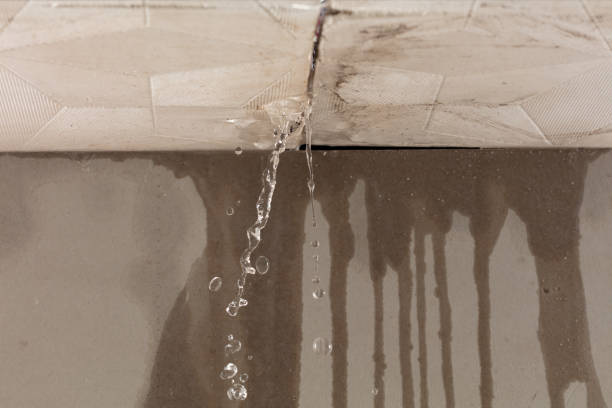 Professional Structural Drying technician working in Closter, NJ